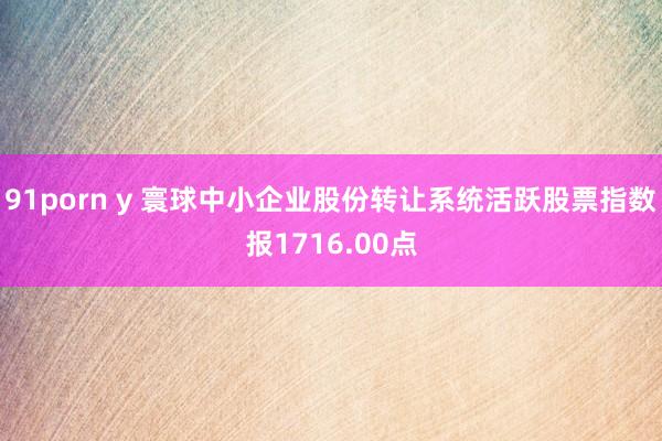 91porn y 寰球中小企业股份转让系统活跃股票指数报1716.00点