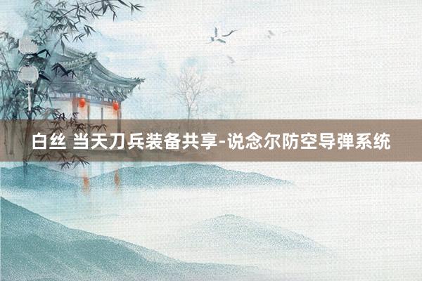 白丝 当天刀兵装备共享-说念尔防空导弹系统