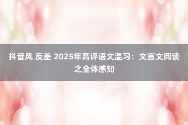 抖音风 反差 2025年高评语文温习：文言文阅读之全体感知