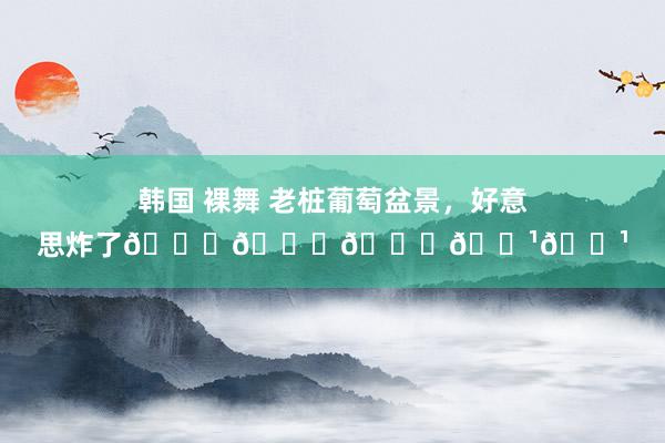 韩国 裸舞 老桩葡萄盆景，好意思炸了👍👍👍🌹🌹