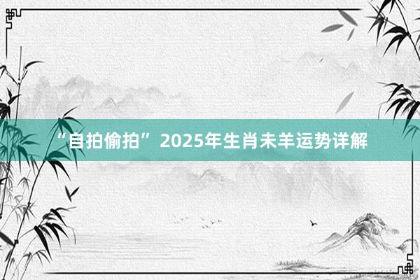 “自拍偷拍” 2025年生肖未羊运势详解