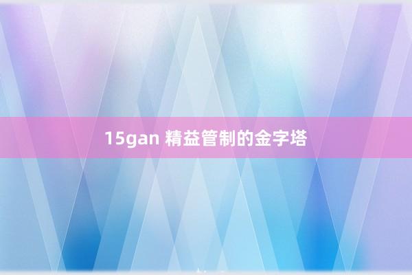 15gan 精益管制的金字塔
